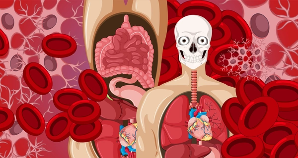 معلومات حول تخصص علم التشريح والأنسجة - Anatomy and Histology